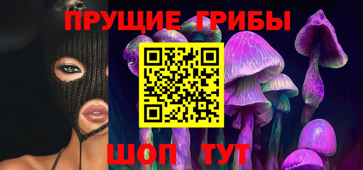 Псилоцибиновые грибы Psilocybine cubensis Луховицы
